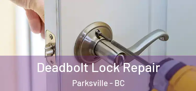 Deadbolt Lock Repair Parksville - BC