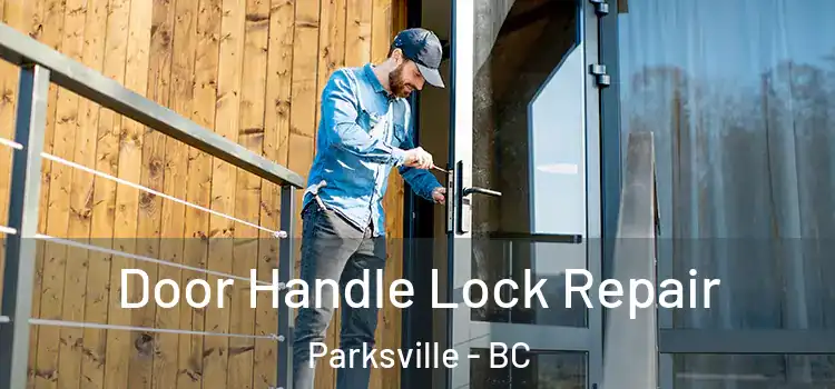 Door Handle Lock Repair Parksville - BC