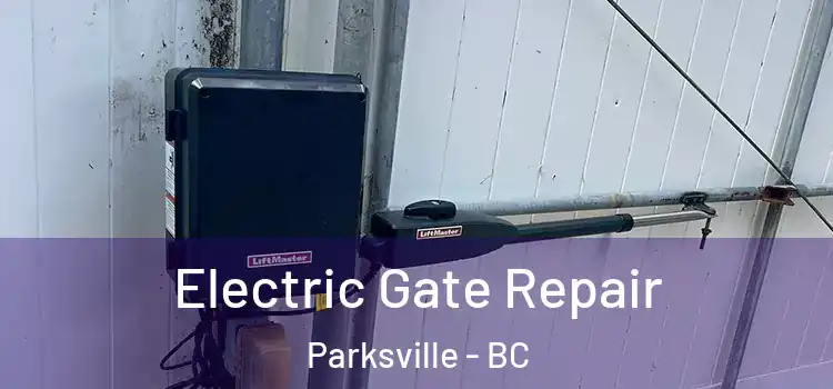 Electric Gate Repair Parksville - BC