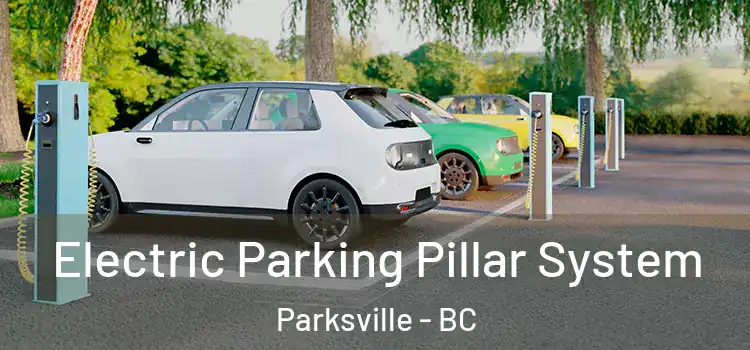 Electric Parking Pillar System Parksville - BC