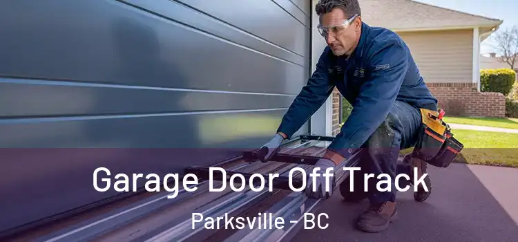  Garage Door Off Track Parksville - BC