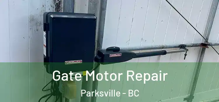 Gate Motor Repair Parksville - BC