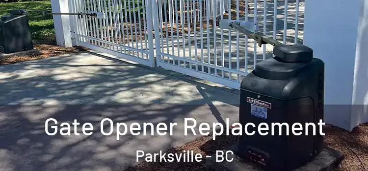 Gate Opener Replacement Parksville - BC