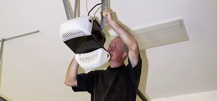 Garage Door Opener Service Parksville