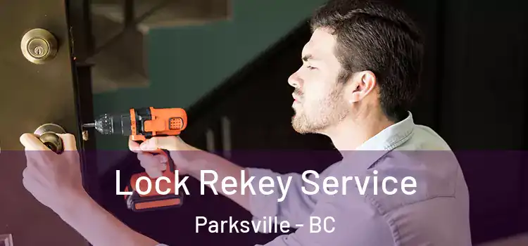 Lock Rekey Service Parksville - BC