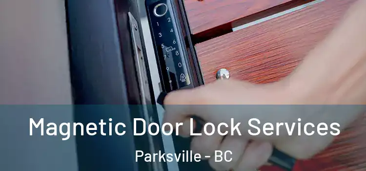 Magnetic Door Lock Services Parksville - BC