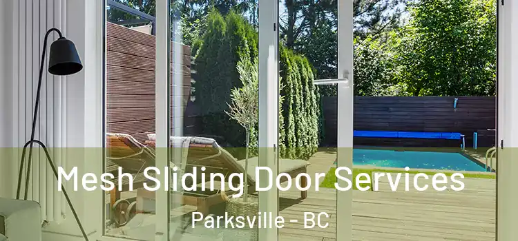 Mesh Sliding Door Services Parksville - BC