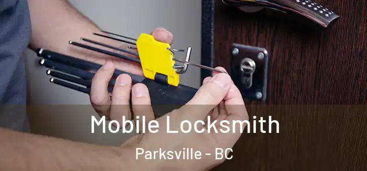 Mobile Locksmith Parksville - BC