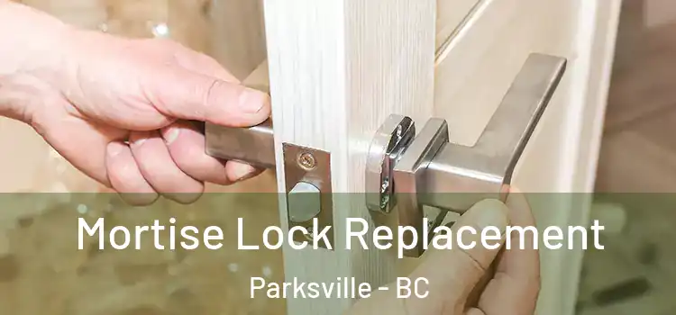 Mortise Lock Replacement Parksville - BC